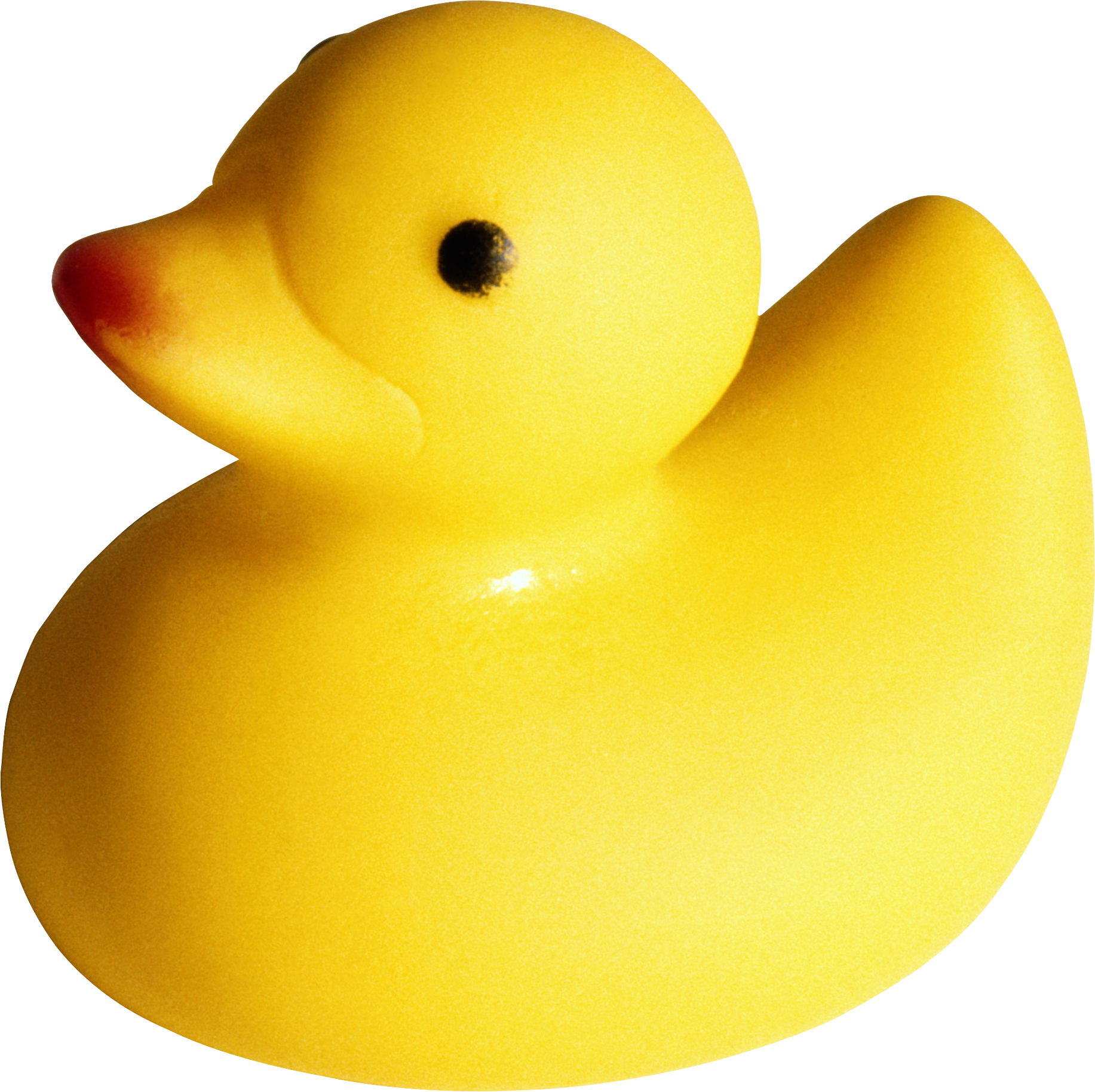 A cheerful yellow rubber duck with an orange beak